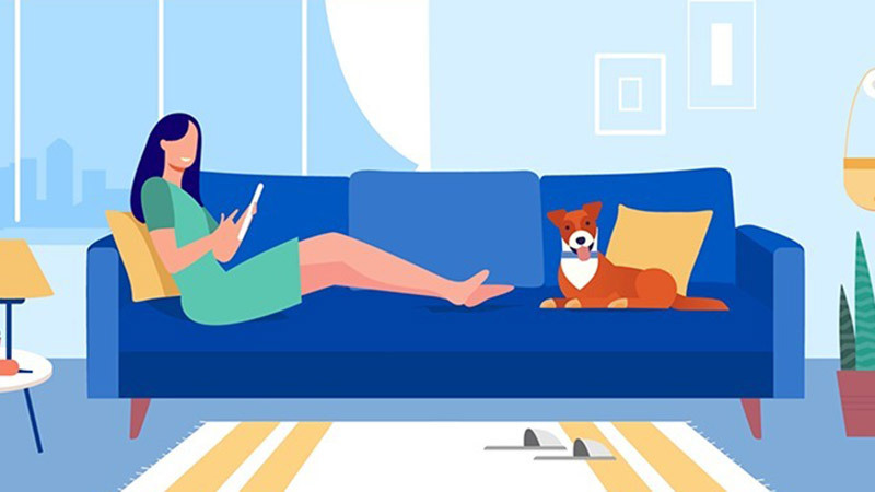 crecimiento-comercio-electronico-800x450 girl on sofa